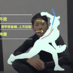 ピッチングでしなりが出ない!そもそも正しいしなりを理解していますか?