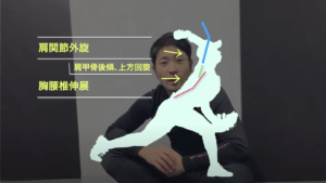 ピッチングでしなりが出ない!そもそも正しいしなりを理解していますか?